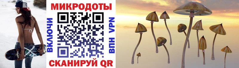 Галлюциногенные грибы Psilocybine cubensis Черняховск